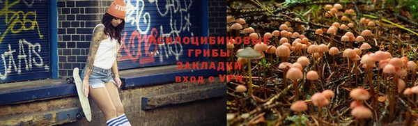 Альфа ПВП Горнозаводск