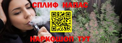 скорость Дубна
