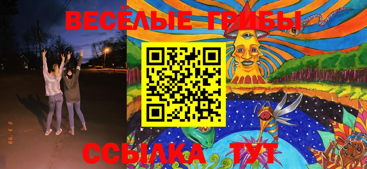 Псилоцибиновые грибы MAGIC MUSHROOMS  Гусев 