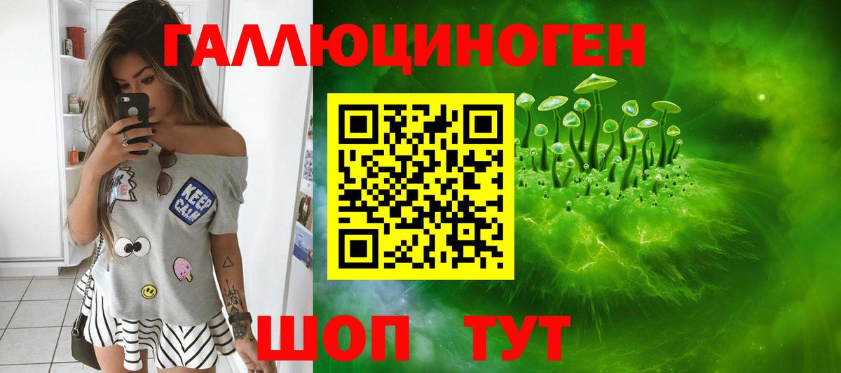 Гусев  Галлюциногенные грибы MAGIC MUSHROOMS  Вход с VPN 