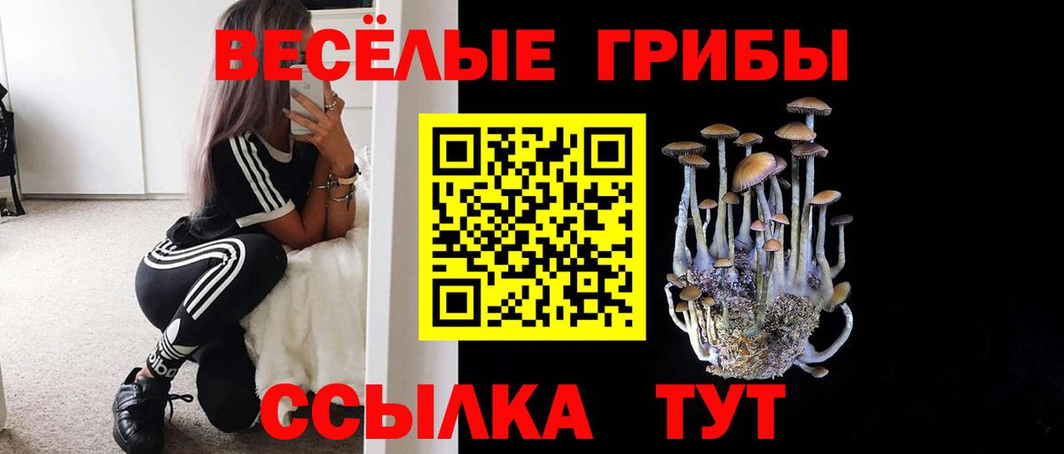 Псилоцибиновые грибы Magic Shrooms Гусев